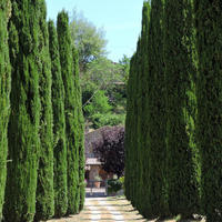 Дом в пригороде в Италии, Тоскана, Пьенца, 225 кв.м.