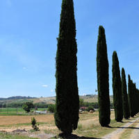 Дом в пригороде в Италии, Тоскана, Пьенца, 225 кв.м.