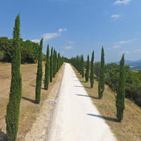 Hotel in the suburbs in Italy, Pienza, 2900 sq.m.