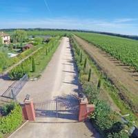 Отель (гостиница) в пригороде в Италии, Пиза, 550 кв.м.