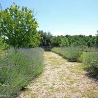 Дом в пригороде в Италии, Пьенца, 90 кв.м.