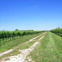 Дом в пригороде в Италии, Пьенца, 90 кв.м.