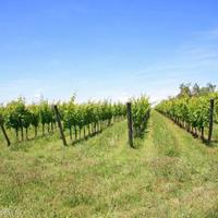 Дом в пригороде в Италии, Пьенца, 90 кв.м.