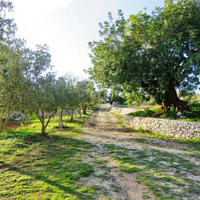 Hotel in the suburbs in Italy, Sicilia, Milo, 253 sq.m.