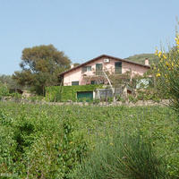 House in Italy, Sardegna, Alghero, 370 sq.m.