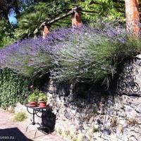 Villa in Italy, San Donnino, 240 sq.m.