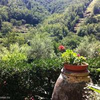 Villa in Italy, San Donnino, 240 sq.m.