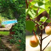 House in Italy, Giano dell'Umbria, 435 sq.m.