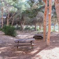 Апартаменты в Испании, Валенсия, Аликанте, 50 кв.м.