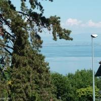 Дом в пригороде во Французской Гвиане, 165 кв.м.