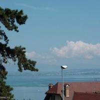 Дом в пригороде во Французской Гвиане, 165 кв.м.