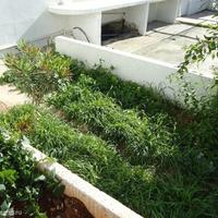 Квартира в центре города на Кипре, Вааса, 50 кв.м.