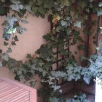 Apartment in France, Paris 15 Vaugirard, 21 sq.m.