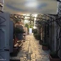 Restaurant (cafe) in the city center in Guyane