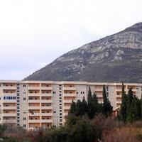 Flat in Montenegro, Berane, Beran Selo, 40 sq.m.
