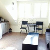 Апартаменты в центре города во Франции, Иль-де-Франс, Париж, 16 кв.м.