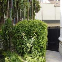 Apartment in Guyane, 172 sq.m.