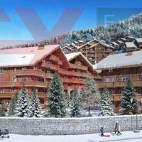 Другая коммерческая недвижимость во Французской Гвиане