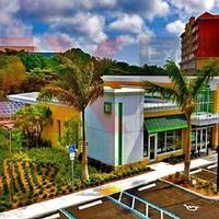 Office in the USA, Missouri, Florida, 275 sq.m.