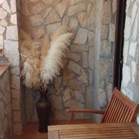 Апартаменты в Болгарии, Свети-Влас