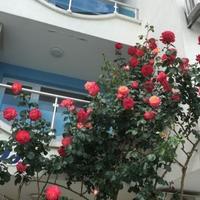 Apartment in Bulgaria, Nesebar