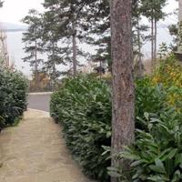 Апартаменты в Болгарии, Бургасская область, Елените