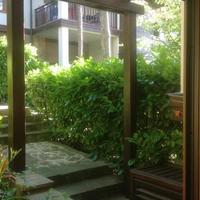 Апартаменты в Болгарии, Бургасская область, Елените