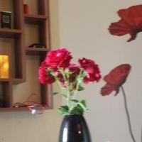 Апартаменты в Болгарии, Бургасская область, Елените