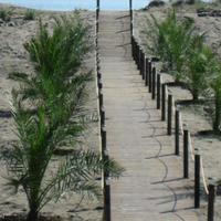 Flat in Bulgaria, Burgas Province, Elenite