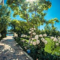 Flat in Bulgaria, Burgas Province, Elenite