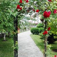 Апартаменты в Болгарии, Бургасская область, Елените