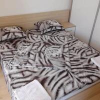 Квартира в Болгарии, Свети-Влас