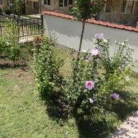 Квартира в Болгарии, Свети-Влас