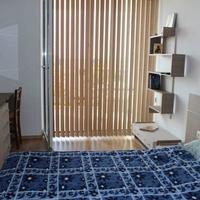 Flat in Bulgaria, Burgas Province, Elenite
