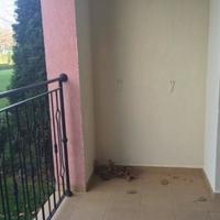 Апартаменты в Болгарии, Солнечный Берег