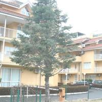 Апартаменты в Болгарии, Солнечный Берег