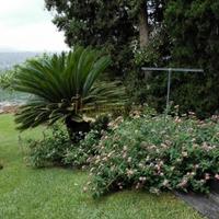 House in Spain, Comunitat Valenciana