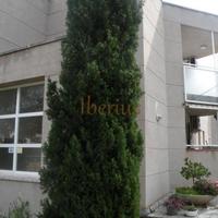 Квартира в Испании, Каталония, Багур