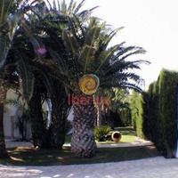 Villa in Spain, Andalucia, Marbella