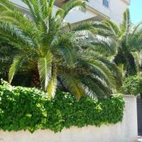 Квартира в Испании, Каталония, Багур