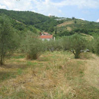 Land plot in Slovenia, Piran