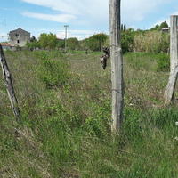 Land plot in Slovenia, Piran