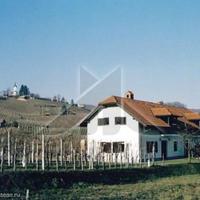 Производство в Словении, Марибор, Любляна