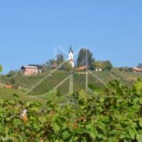 Производство в Словении, Марибор, Любляна