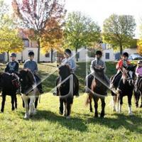 Другое в Словении, Мост-на-Сочи, 65535 кв.м.