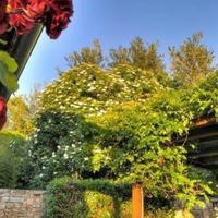 House in Croatia, Vodnjan, 270 sq.m.