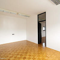 Other in Slovenia, Ljubljana