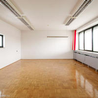 Other in Slovenia, Ljubljana