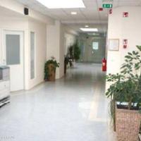 Other in Slovenia, Ljubljana