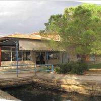 Other at the first line of the sea / lake in Slovenia, Most na Soci